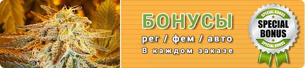Бонусы на Supersemena.com