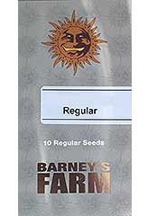 Afghan Hash Plant Reg. (10) заказать и купить на supersemena.com