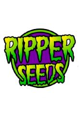Sour Face x The White 100% (3) заказать и купить на supersemena.com