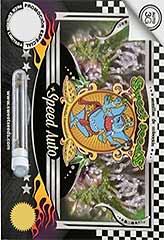 + Speed AUTO 100% (100) *** заказать и купить на supersemena.com