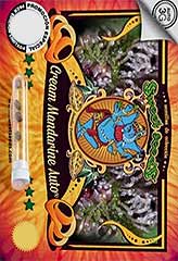 Cream Mandarine AUTO 100% (100) *** заказать и купить на supersemena.com