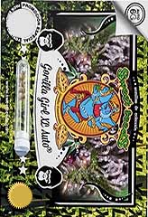 Gorilla Girl XL AUTO 100% (100) *** заказать и купить на supersemena.com