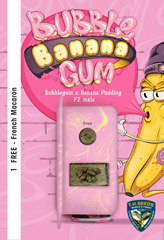 BubbleBananaGum 100% (6) заказать и купить на supersemena.com
