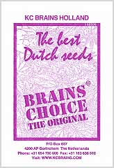 Brains Choice (5) заказать и купить на supersemena.com