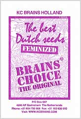 Brains Choice 100% заказать и купить на supersemena.com
