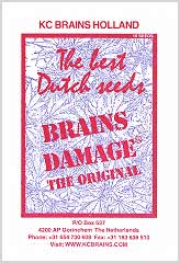 Brains Damage (5) заказать и купить на supersemena.com