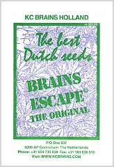 Brains Escape (5) заказать и купить на supersemena.com