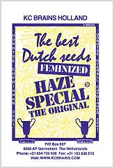 Haze Special 100% заказать и купить на supersemena.com