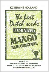 Mango 100% заказать и купить на supersemena.com