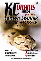 Lemon Sputnik Auto 100% заказать и купить на supersemena.com