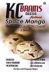 Space Mango Auto 100% заказать и купить на supersemena.com