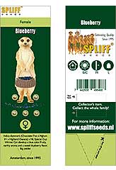 Blue Berry 100% (5) заказать и купить на supersemena.com