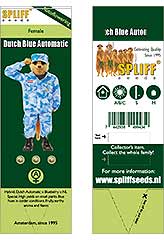 Dutch Blue Automatic 100% (3) заказать и купить на supersemena.com
