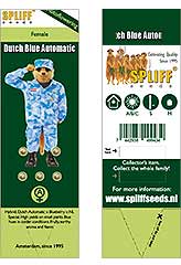 Dutch Blue Automatic 100% (5) заказать и купить на supersemena.com