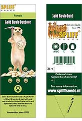 Gold Rush Outdoor 100% (5) заказать и купить на supersemena.com