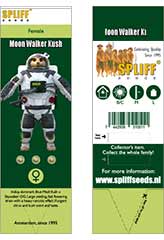 Moon Walker Kush 100% (3) заказать и купить на supersemena.com