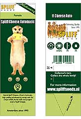 Spliff Cheese Automatic 100% (3) заказать и купить на supersemena.com