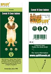 Sweet 'n Sour 100% (5) заказать и купить на supersemena.com