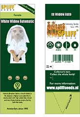 White Widow Auto 100% (3) заказать и купить на supersemena.com