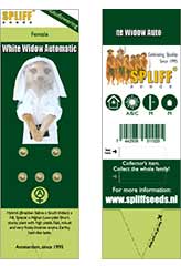 White Widow Auto 100% (5) заказать и купить на supersemena.com