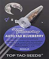Auto Tao Blueberry заказать и купить на supersemena.com