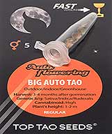 Big Auto Tao заказать и купить на supersemena.com