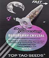 Blueberry Crystal заказать и купить на supersemena.com