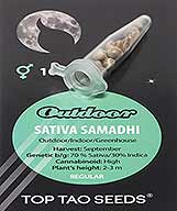 Sativa Samadhi заказать и купить на supersemena.com