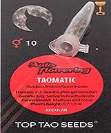 Taomatic заказать и купить на supersemena.com