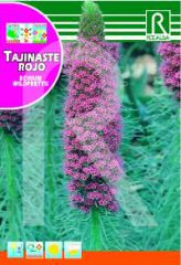 Red Tajinaste заказать и купить на supersemena.com