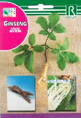 Ginseng заказать и купить на supersemena.com