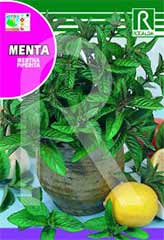 Mint (Mentha piperita) заказать и купить на supersemena.com