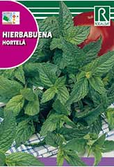 Mint заказать и купить на supersemena.com