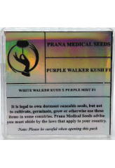 Purple Walker Kush F1 заказать и купить на supersemena.com