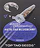 Auto Tao Blueberry