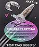 Blueberry Crystal