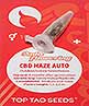 CBD Haze Auto