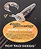 Demon Auto Tao