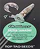 Sativa Samadhi